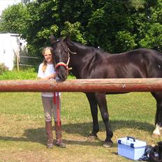 Anden særlig race Bento *rideskole*