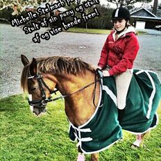 Hollandsk Sportspony Daylight!  <3 (Savnet&elsket)