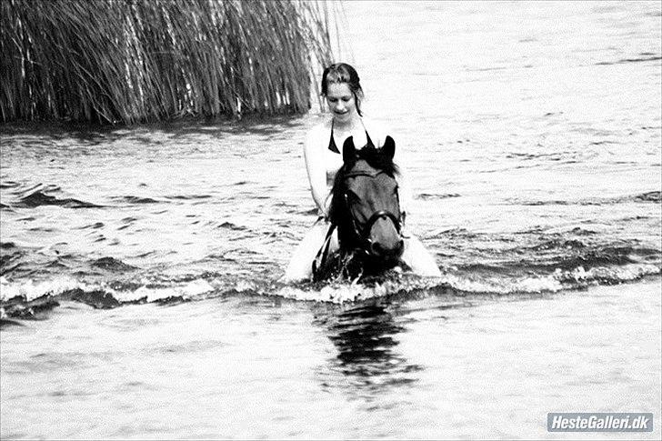 Anden særlig race Victoria. - #6 Anne og vikki i søen - super billede <3 :D  billede 4