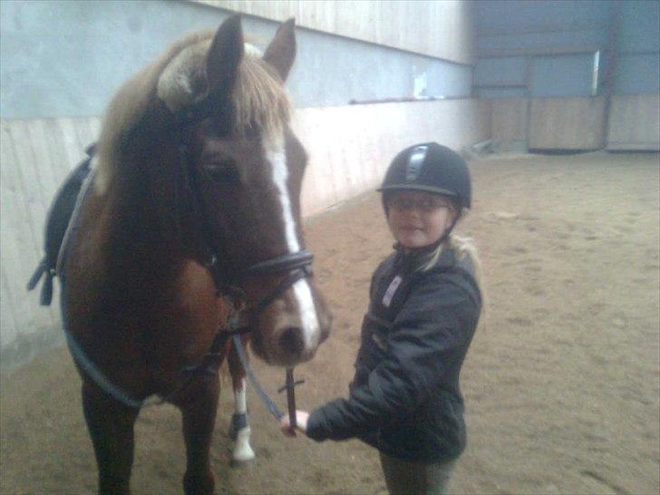 Hollandsk Sportspony Essy - pensionist - Sommerfugle i maven på Rytter, Allerførste prøvetur på ESSY billede 2