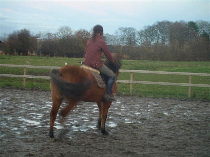 Anden særlig race Freja billede 11