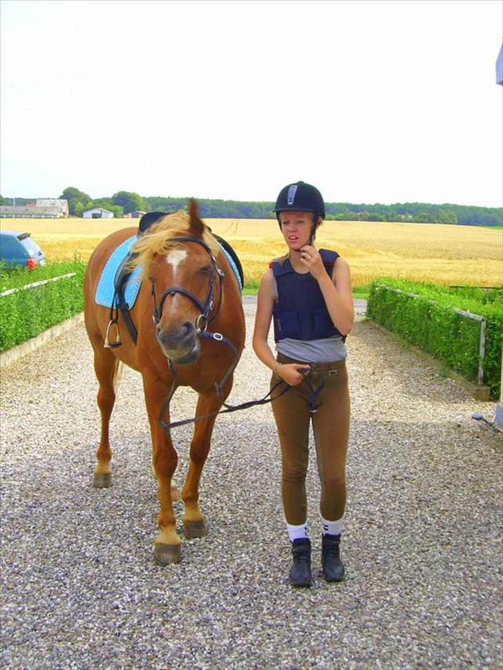 Anden særlig race Picasso billede 6