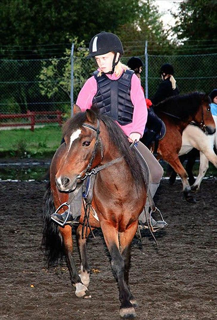 Anden særlig race Raptus*Passer* - 11) Og igen i ridetimen :) billede 11