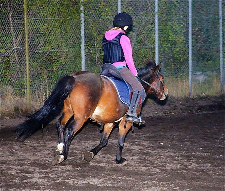 Anden særlig race Raptus*Passer* - 12) Og så er det galop!:D billede 12