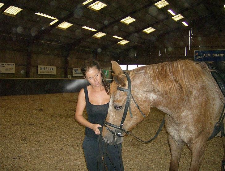 Knabstrupper Kjemsterups La Rokka billede 8