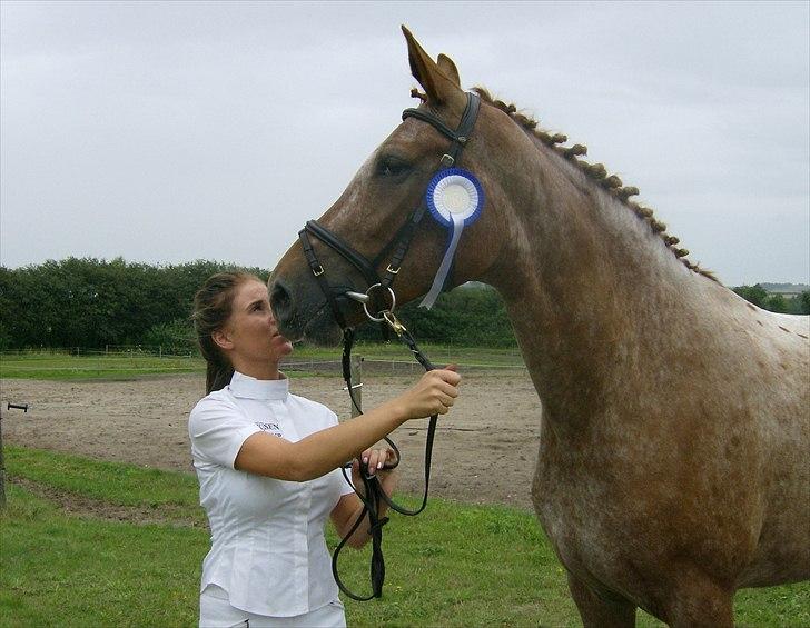 Knabstrupper Kjemsterups La Rokka - Hoppe kåring billede 11