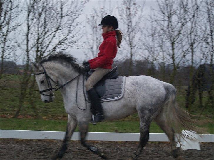 Anden særlig race frigge - Rider i det dejlige blæse vejr,,, hihi<333 LOVEYOU!!!<333 billede 17