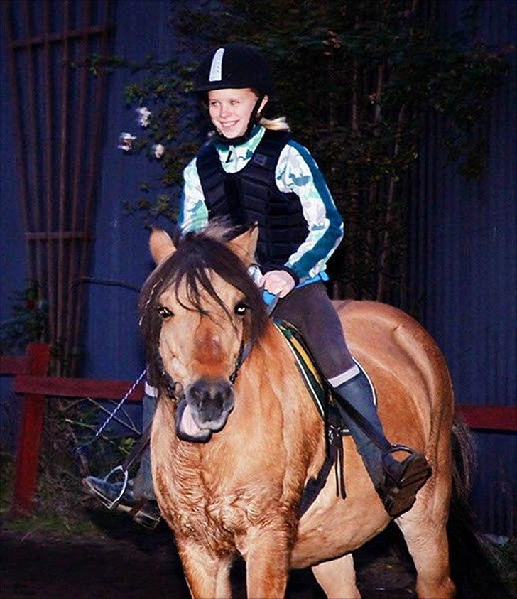 Anden særlig race Metle(rideskolepony) billede 10