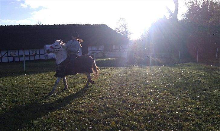 Anden særlig race Duet- min stjerne<3 - Du er det bedste jeg har<3 billede 10