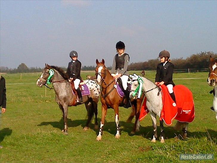 Anden særlig race Merlot Solgt+Savnet:'( - Tika hold 2010, Mig&Merlot Signe&Ramona og Nicoline&Filur:D billede 16