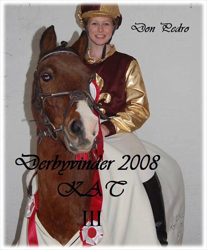 Anden særlig race Don Pedro - SOLGT - pony galop derby vinder 2008 billede 16
