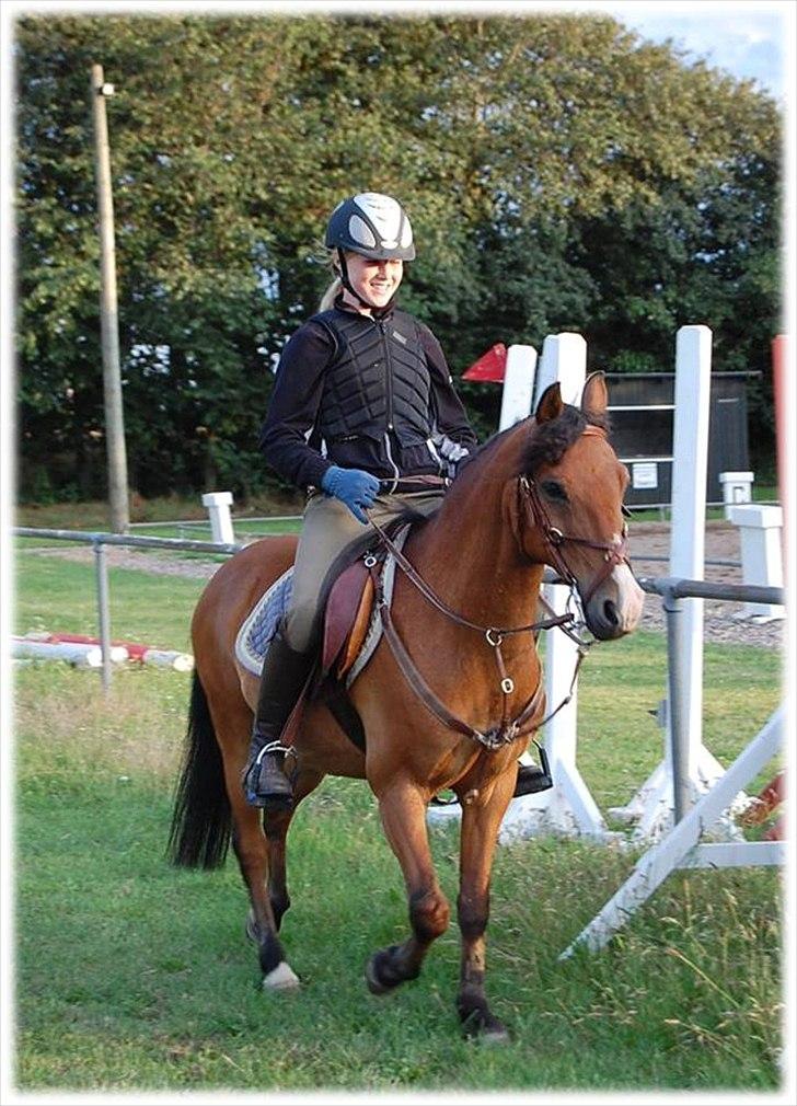Anden særlig race Don Pedro - SOLGT - tror vist han har lånt mit krøllejern=) billede 17