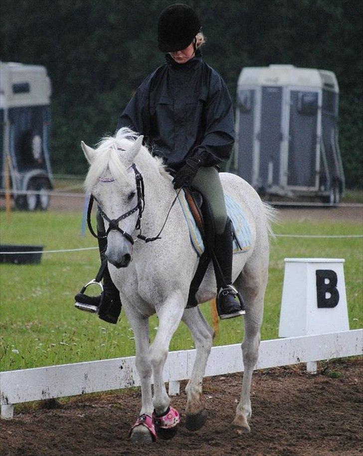 Irsk Sportspony Mistys Dream **SOLGT** - Ridelejre 2010. billede 14