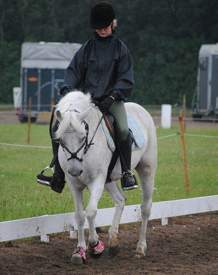 Irsk Sportspony Mistys Dream **SOLGT** - lidt dressur kan vi også godt.(hvis jeg så gad kigge op.§) ´Ridelejre 2010 billede 15