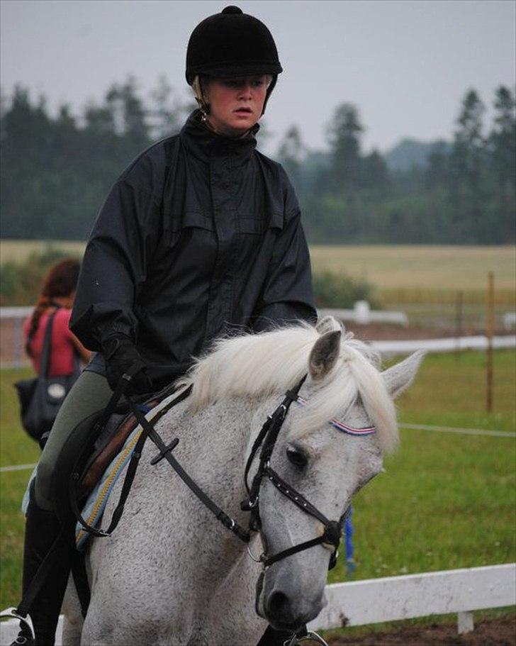 Irsk Sportspony Mistys Dream **SOLGT** - hun er blevet så dygtig til dressuren efter noget hård træning, men det gir pote ! Ridelejre 2010. billede 16