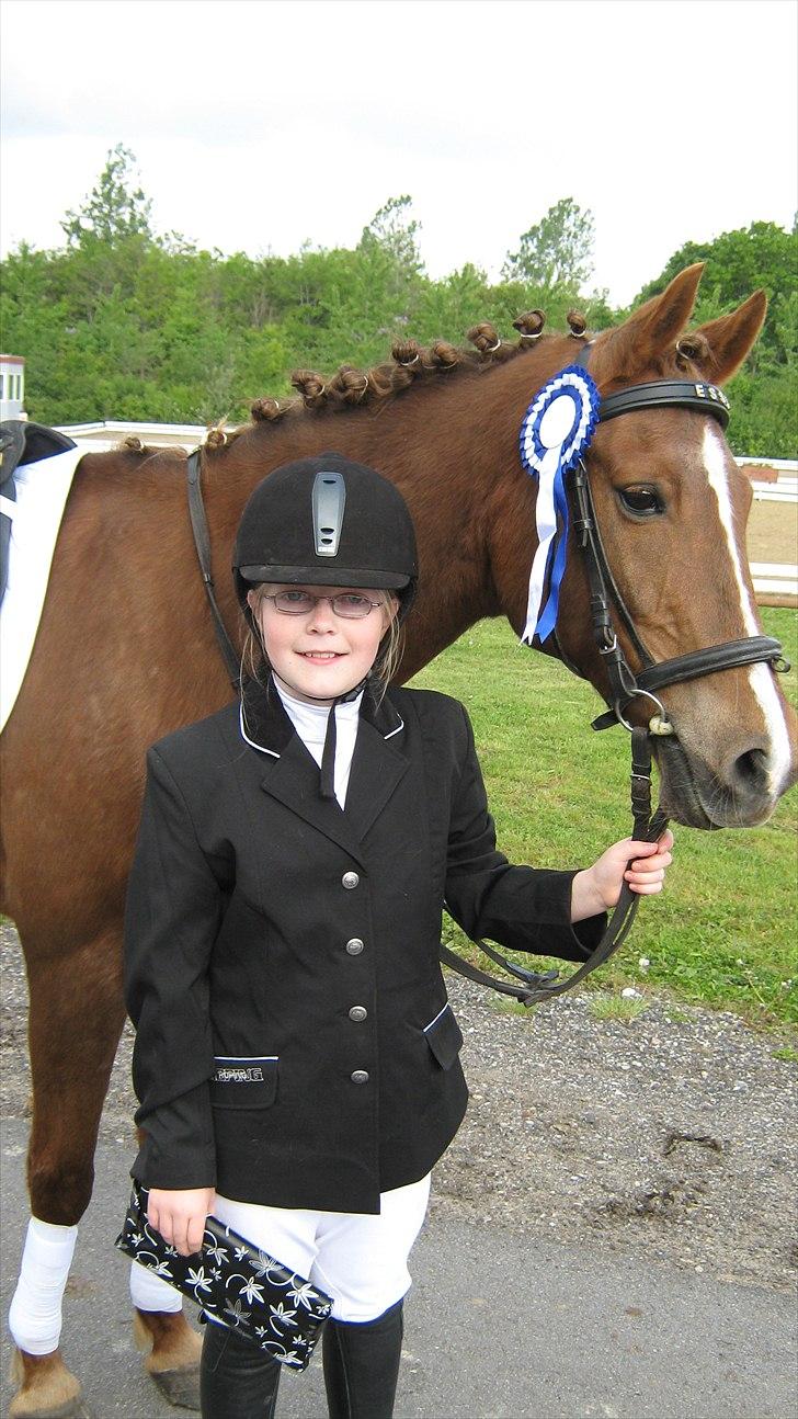 Hollandsk Sportspony Essy - pensionist - 20/5-11 Hjallerup. Red LD1 og fik en 2. plads.... billede 9