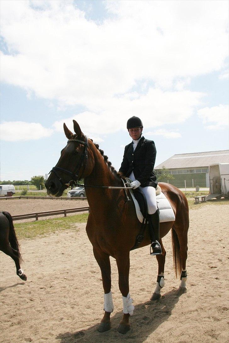 Oldenborg kanut rosengård. R.I.P <3 billede 9