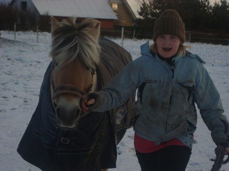 Fjordhest Freja | Stjerneponyen<3. -  NYT taget idag D. 25-11 2010  ps tag jer ikke af mig (menesket) billede 13