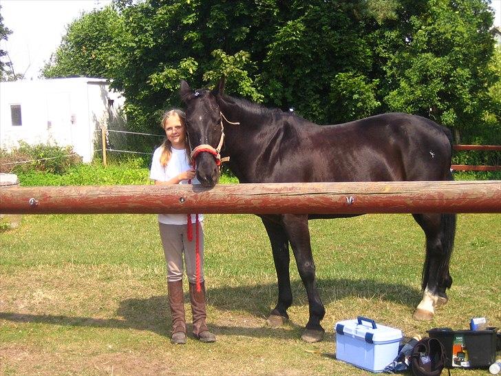 Anden særlig race Bento *rideskole* billede 1