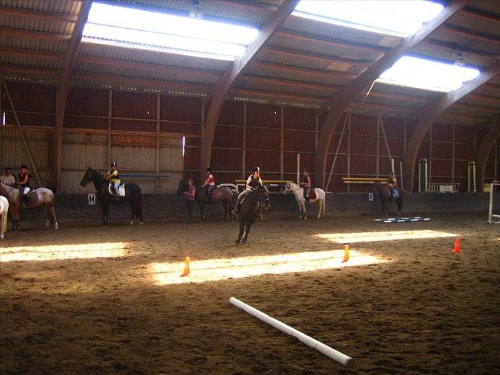 Anden særlig race Bento *rideskole* billede 4