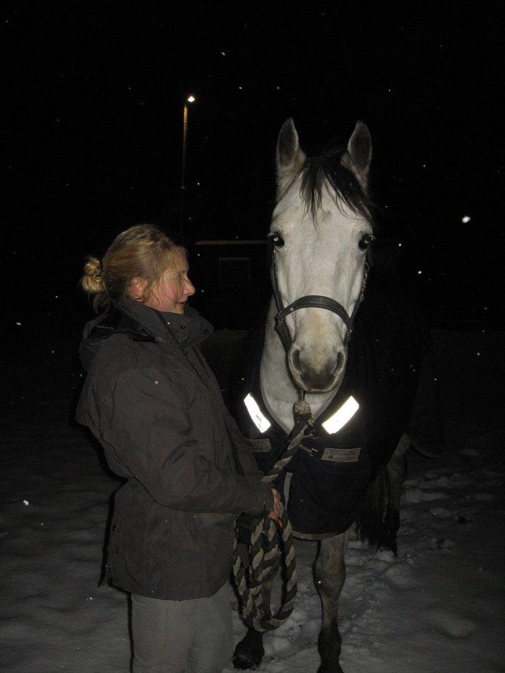 Connemara Hedegårdens Peter Pan billede 8