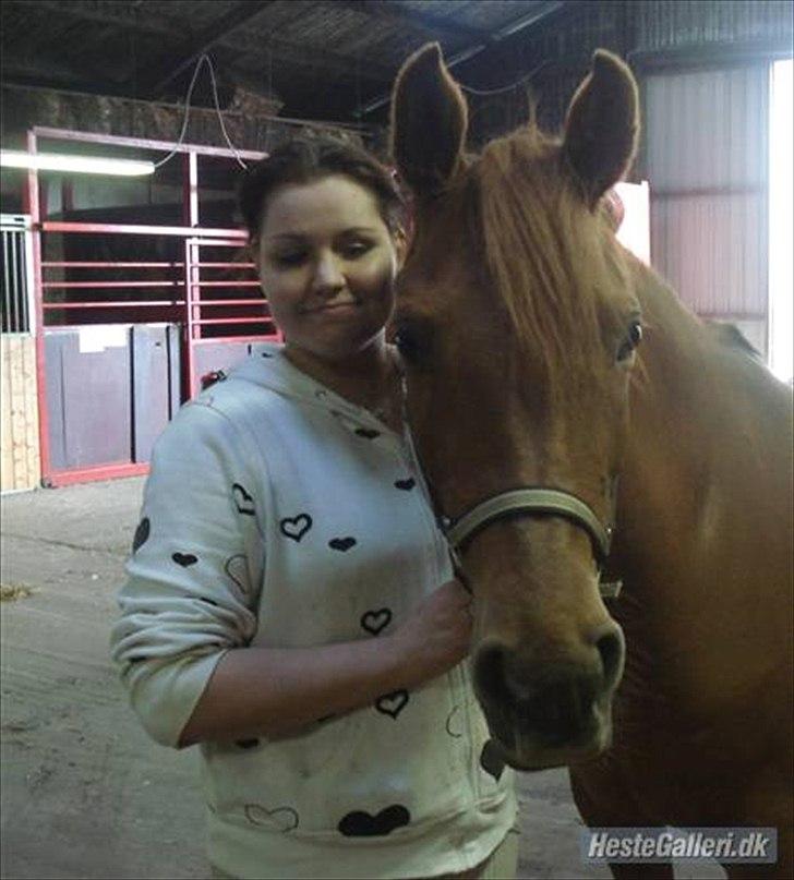 Arabisk fuldblod (OX) Daugaards Al Mahra - Mig og min prinsesse <3 billede 5