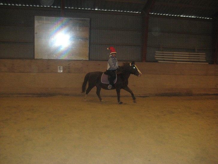 Anden særlig race Safi Rubin (SOLGT) - jubiiih;)
 billede 12