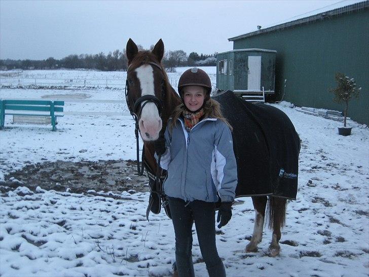 Anden særlig race Safi Rubin (SOLGT) billede 13