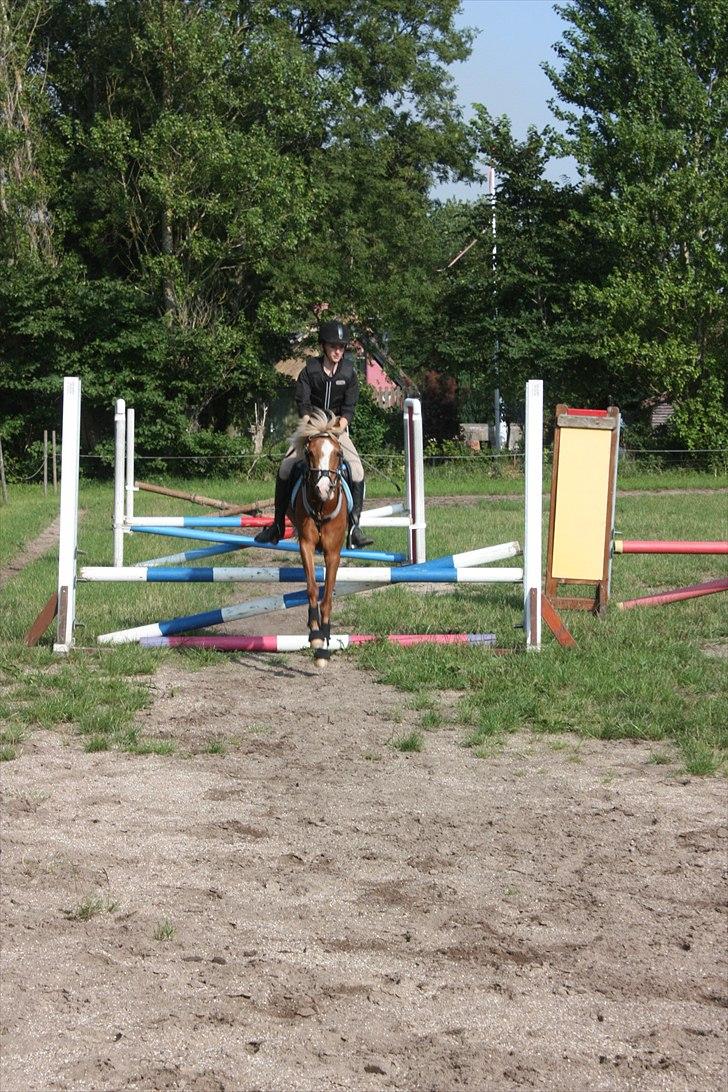 DSP Moonjams´s Symfoni - Spring træning C: billede 9