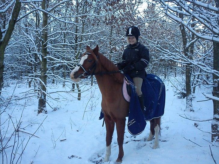 Anden særlig race Stella  - en tur i skoven :D billede 18