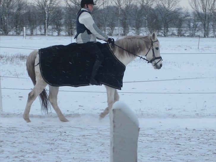 Anden særlig race Capella - Pernille og Capella! billede 2
