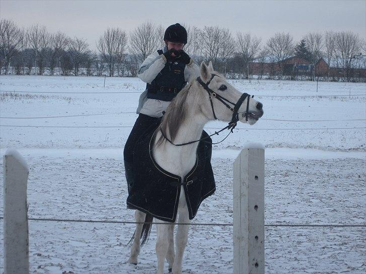 Anden særlig race Capella - Pernille og Capella! billede 4