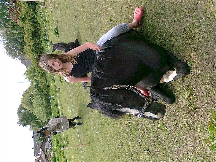 Anden særlig race Blackie billede 8