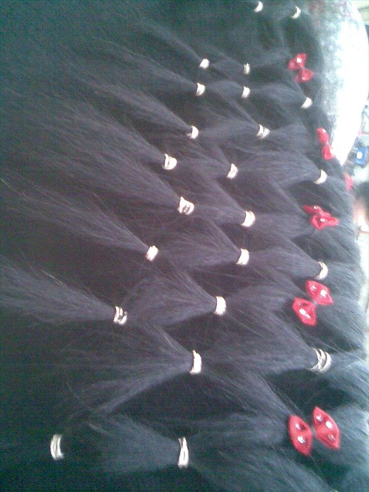 Anden særlig race Blackie billede 9