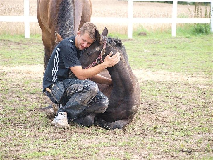 Barockpinto Bel'liva *SOLGT* billede 18