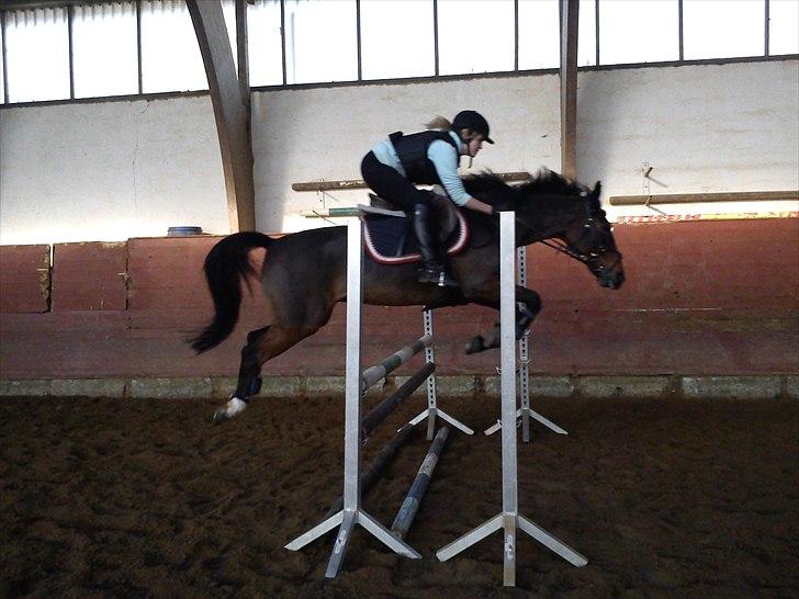 Anden særlig race Coco Popz - Coco og Katrine *EOR* billede 14