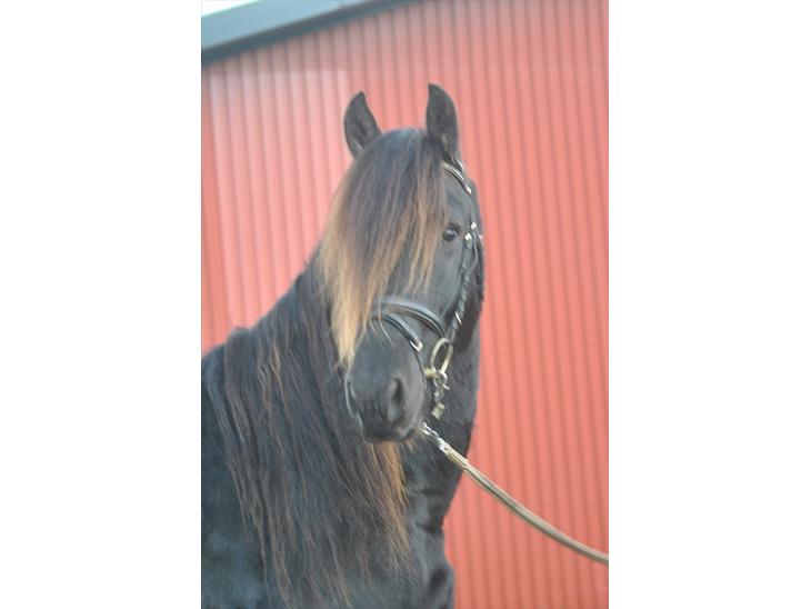 {{currentPhoto.altText}} billede {{currentPhoto.number}}