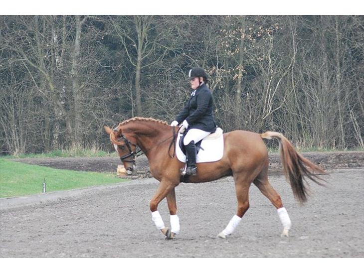 {{currentPhoto.altText}} billede {{currentPhoto.number}}