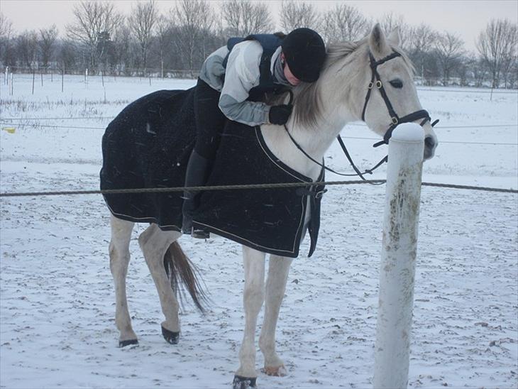 {{currentPhoto.altText}} billede {{currentPhoto.number}}