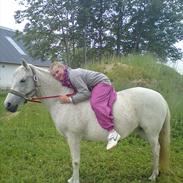 Anden særlig race Sabrina *tidl. lånepony*