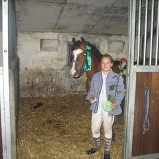 Welsh Pony (sec B) Rakt`s Britney solgt