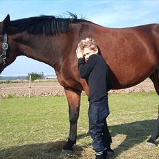 Anden særlig race Gaby (tilbage tidl ejer)
