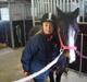 Welsh Pony (sec B) Lyngvejens Malu