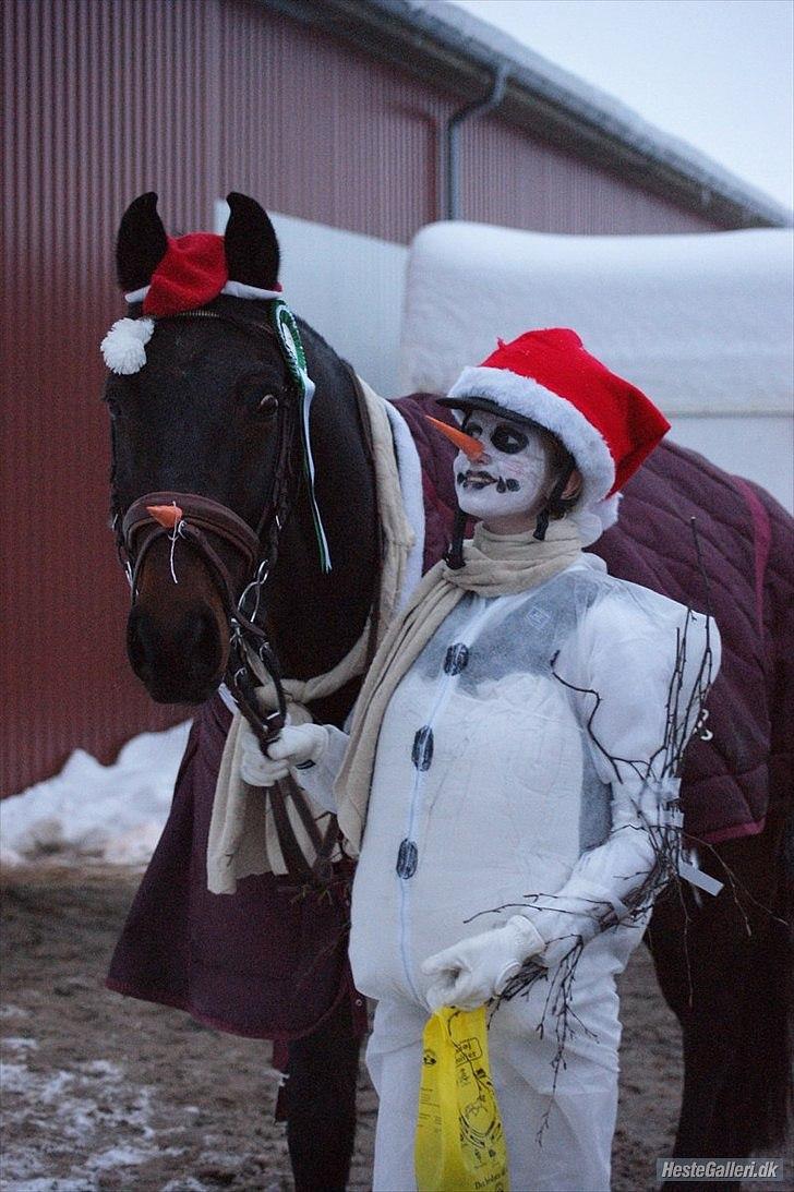 Oldenborg Prins Hamlet 387 † R.I.P † - ØSR, Jule springstævne hold cuppen :-) Vi var Klædt ud som snemænd. Vi fik en 3 plads i klassen. vinteren 2010. © Foto: LJ-Foto  billede 19