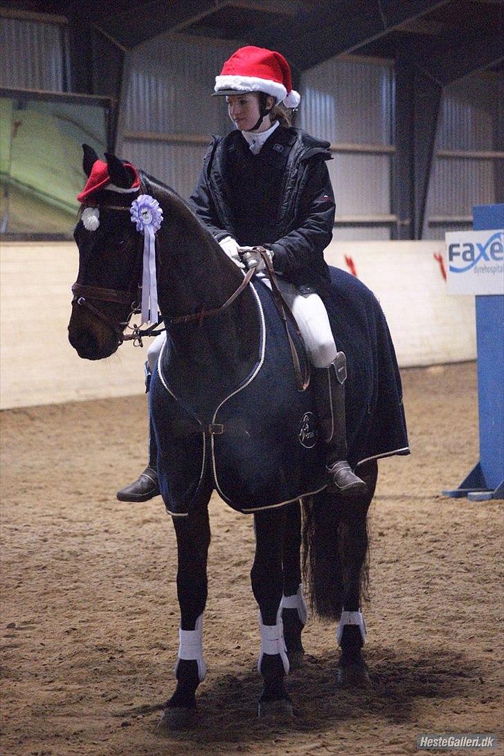 Oldenborg Prins Hamlet 387 † R.I.P † - ØSR, Præmieoverraskelse uden sadel :-) Vi var fejlfri<3 vinteren 2010. © Foto: LJ-Foto  billede 14