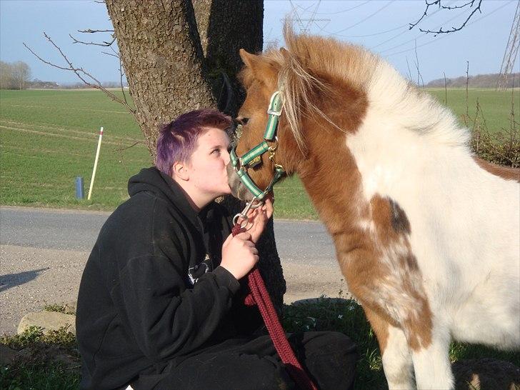 Shetlænder Thorsvang´s Tut - mig og lillle tut 

Foto. Maia billede 5