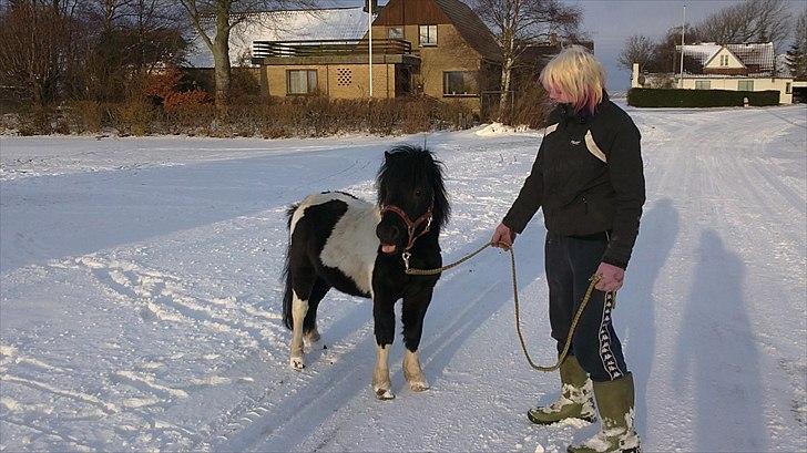 Anden særlig race Zarra`s Tordenbrag  billede 4