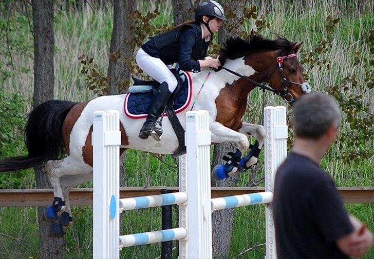 Pinto Munkeborgs Cloudy B-pony - LA2** - 0 fejl - 5-plads - BAR <3 billede 7