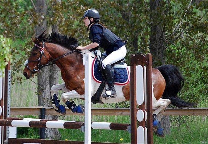 Pinto Munkeborgs Cloudy B-pony - LA2** - 0 fejl - 5-plads - BAR <3 billede 8