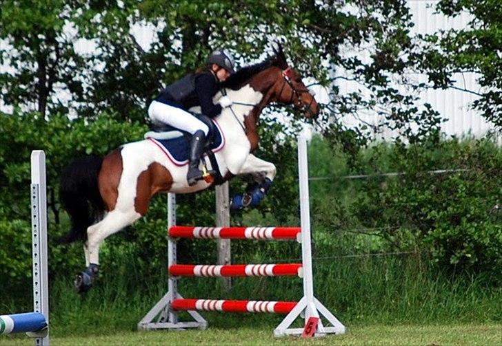 Pinto Munkeborgs Cloudy B-pony - MB** - 2-plads <3 billede 10